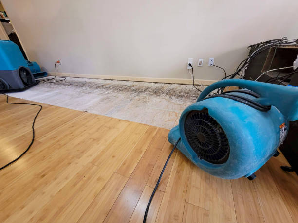 Professional Basement Flood Cleanup technician working in Brunsville, IA